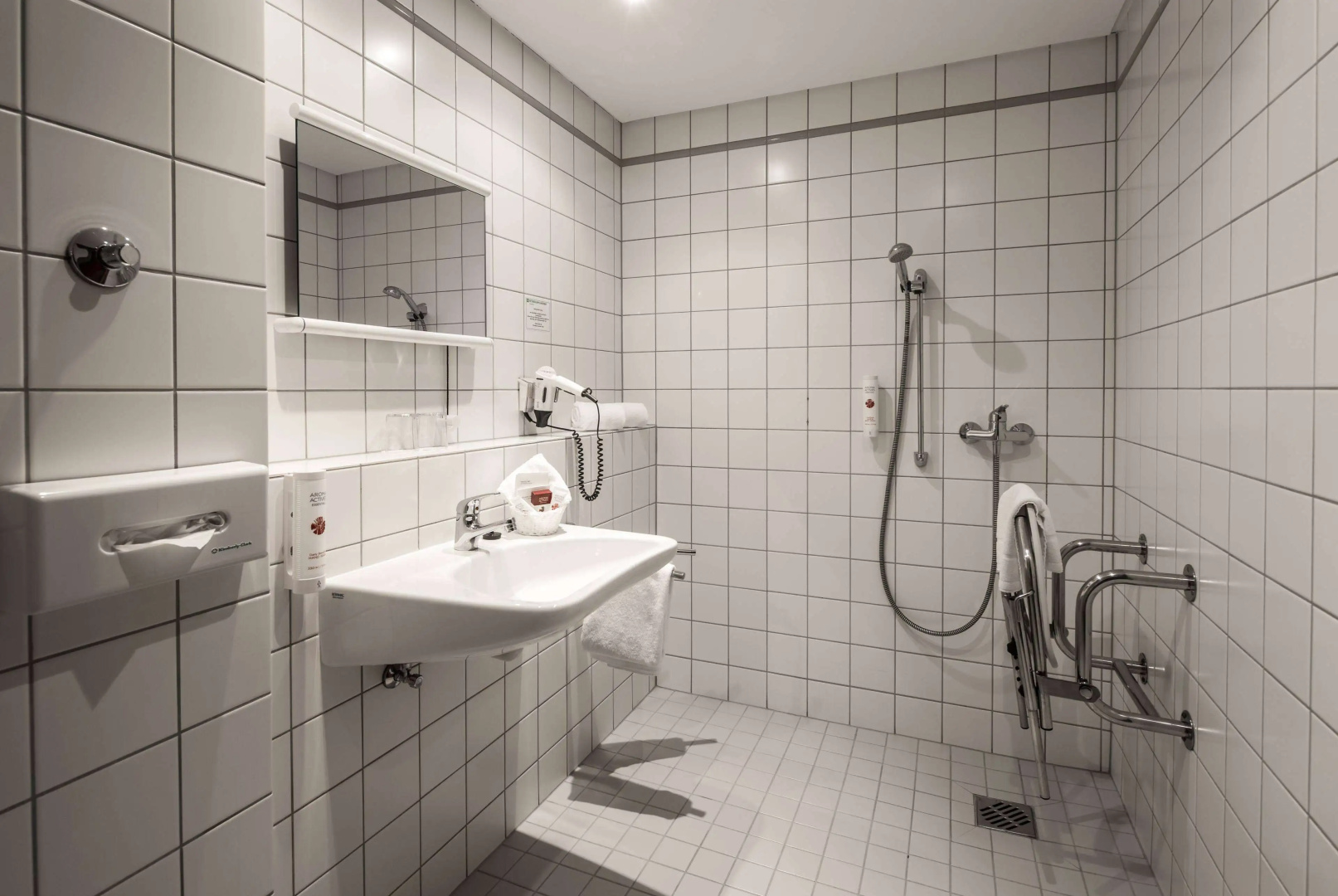 Foto - Ramada by Wyndham Dresden