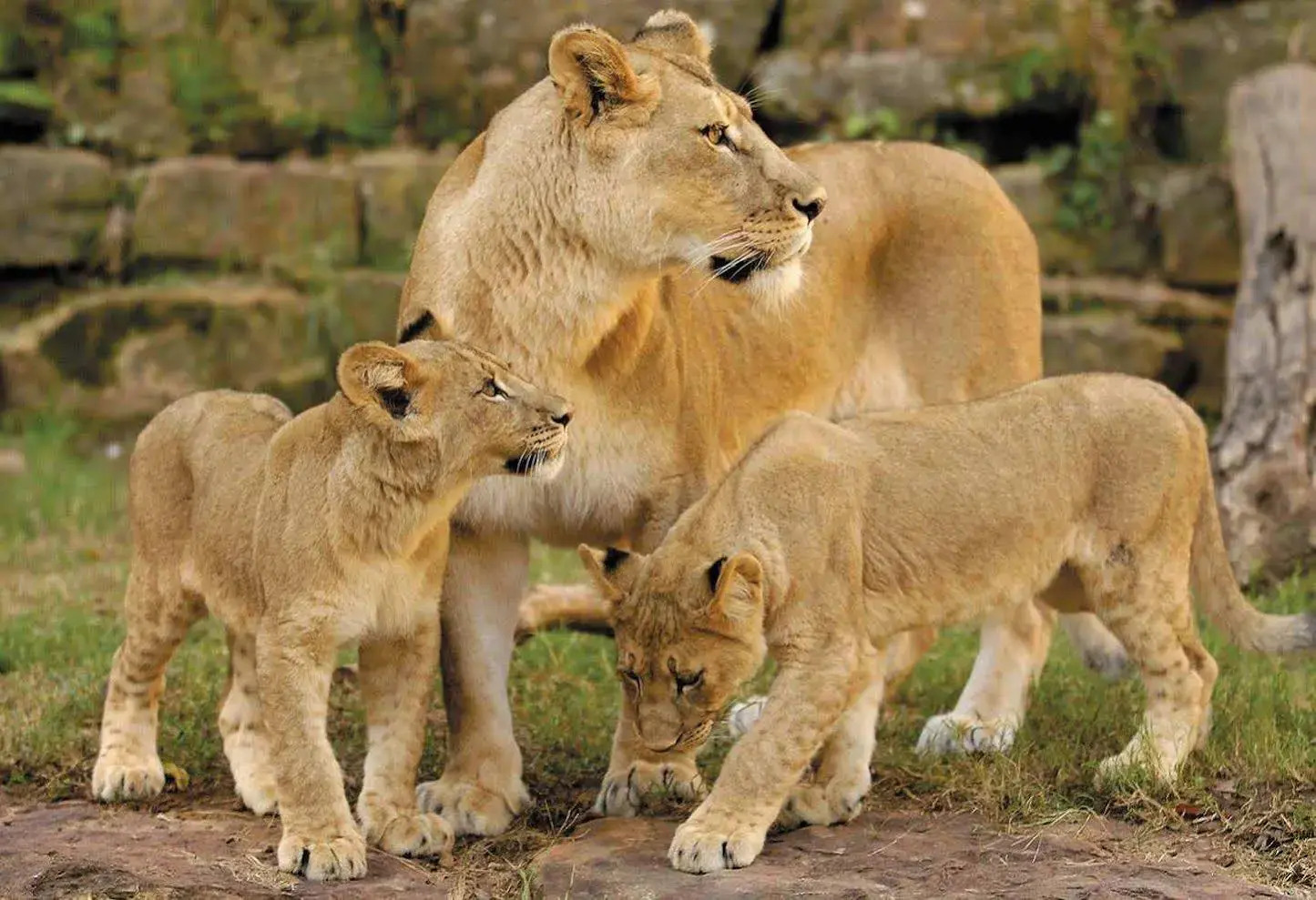 Foto - Hilton Fort Worth