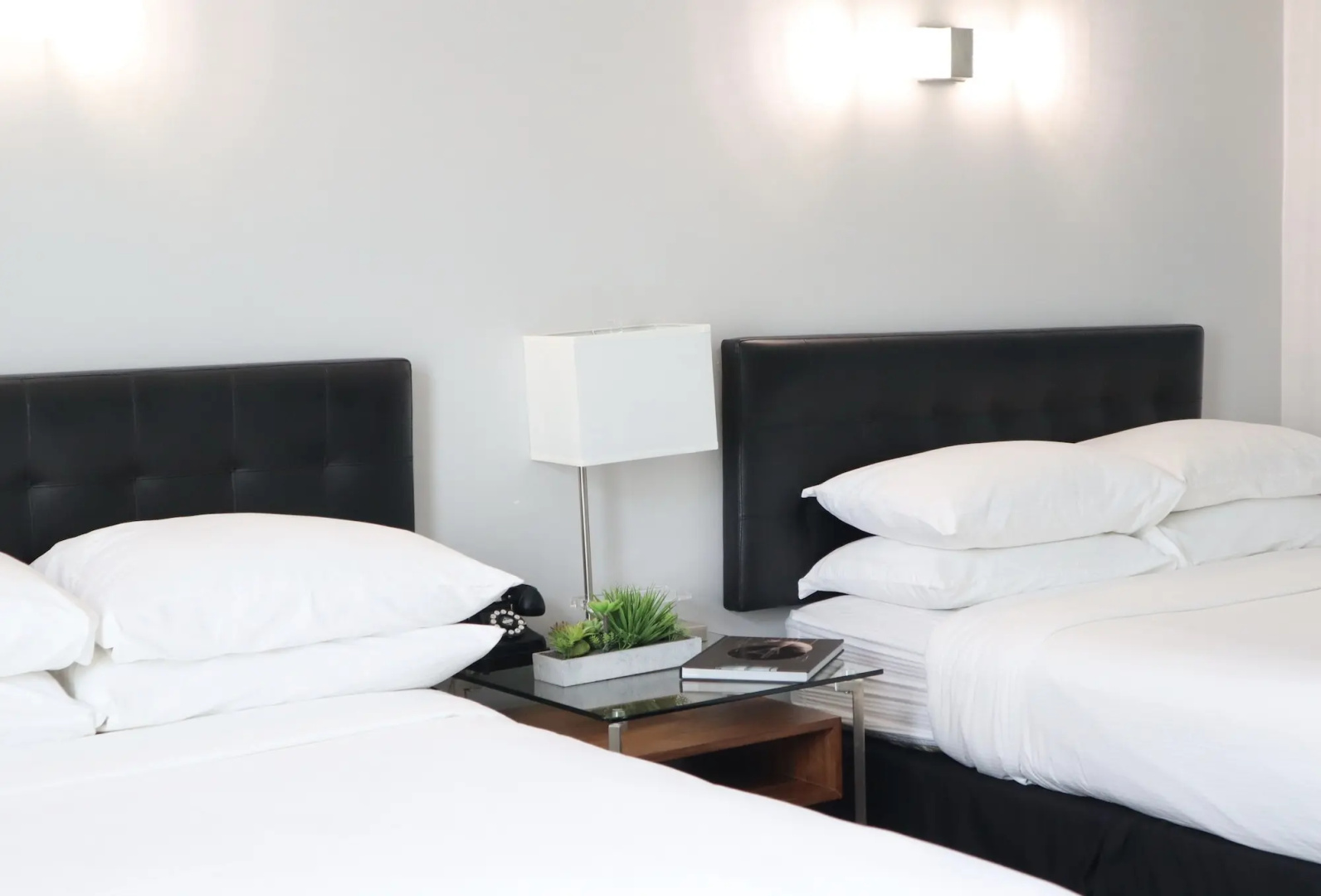 Foto - Park Plaza Lodge Hotel
