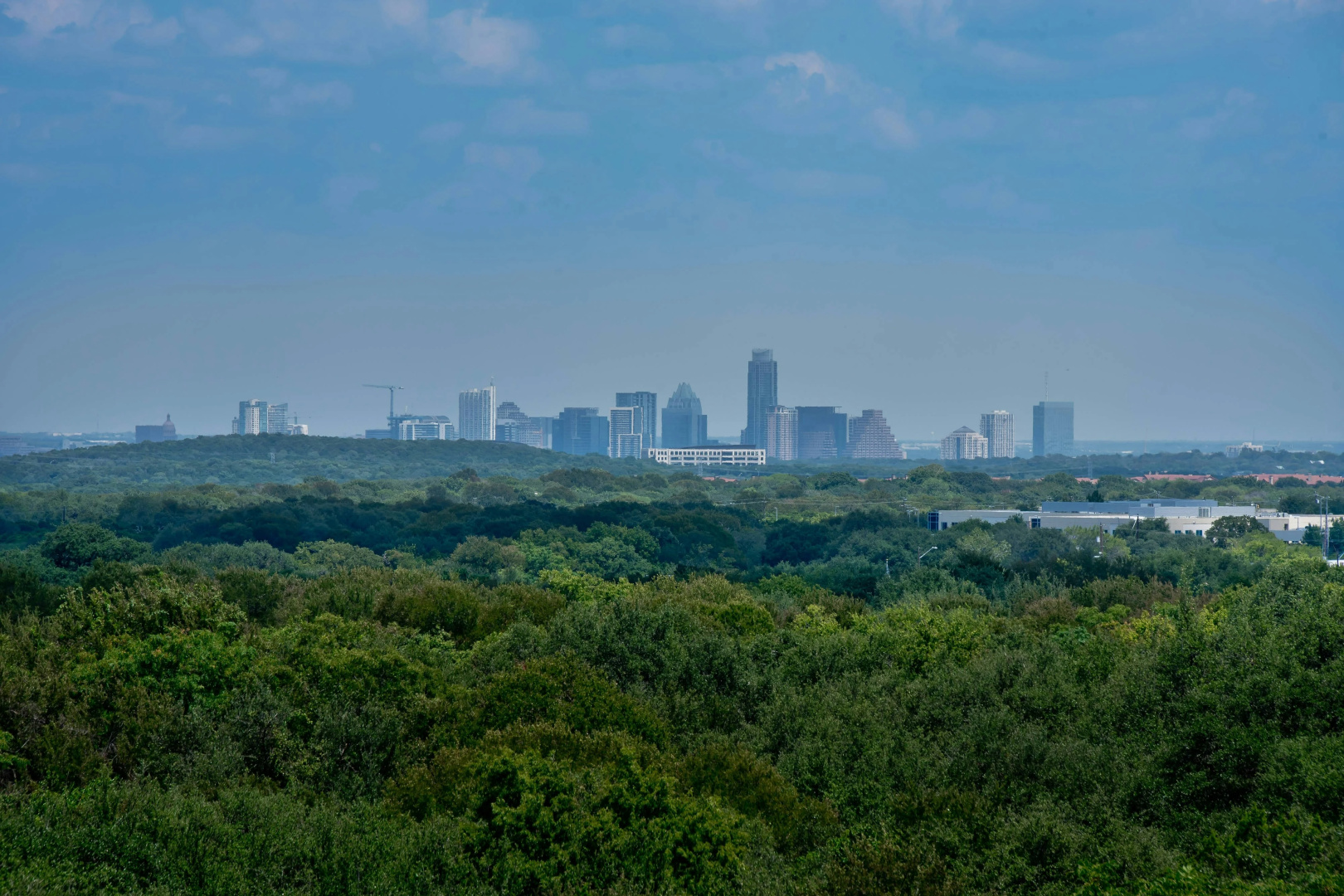 Foto - Residence Inn by Marriott Austin Southwest
