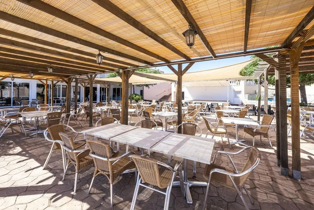 Photo - Comitas Isla del Aire