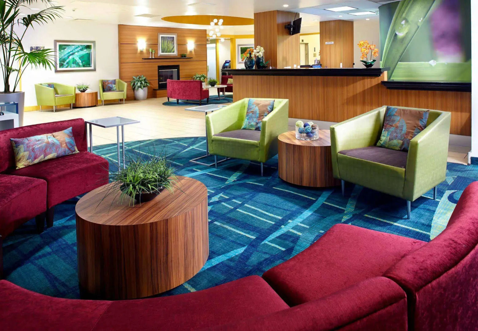 Foto - SpringHill Suites Houston Medical Center / NRG Park