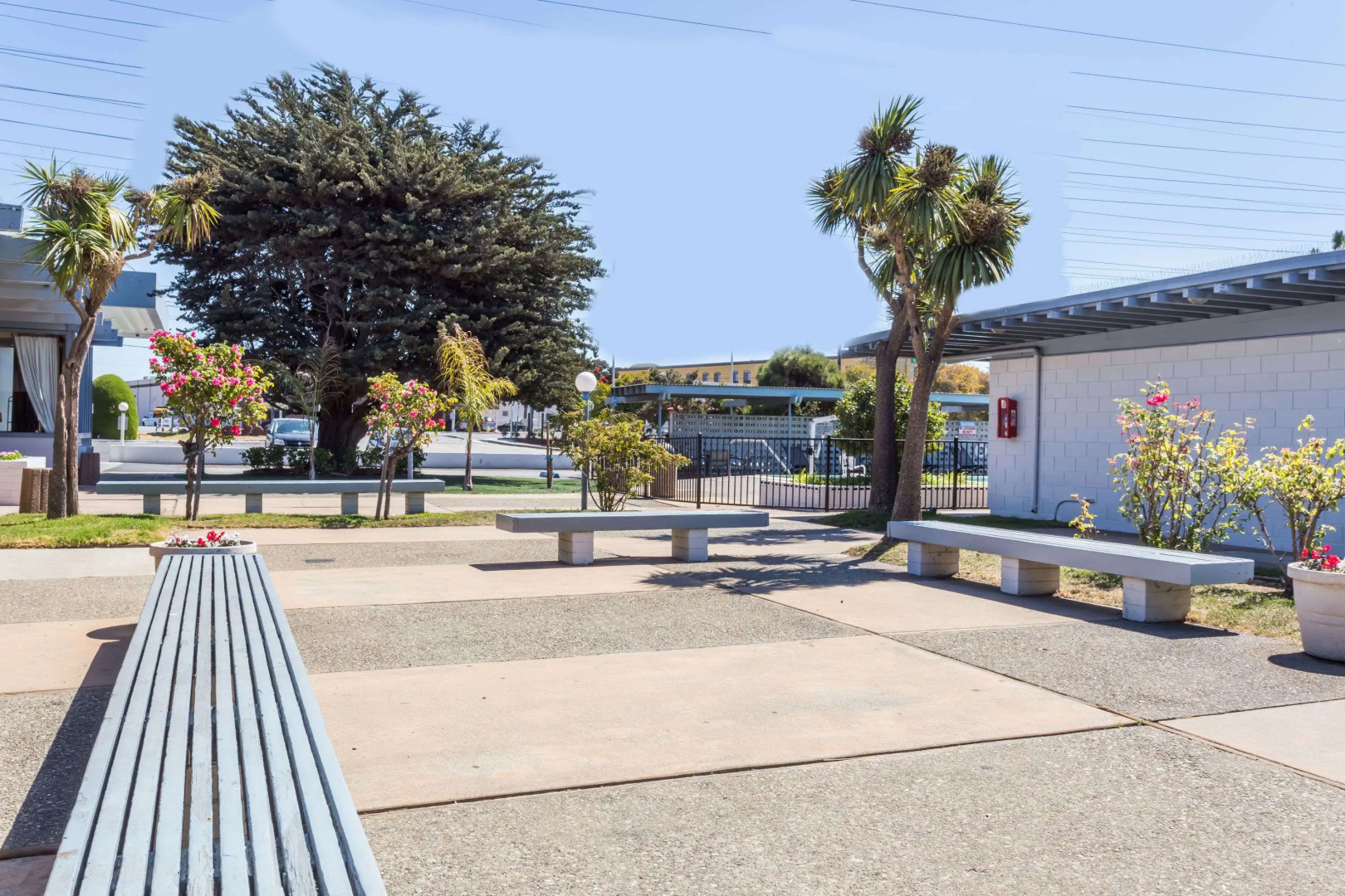 Foto - Travelodge by Wyndham San Francisco Airport North