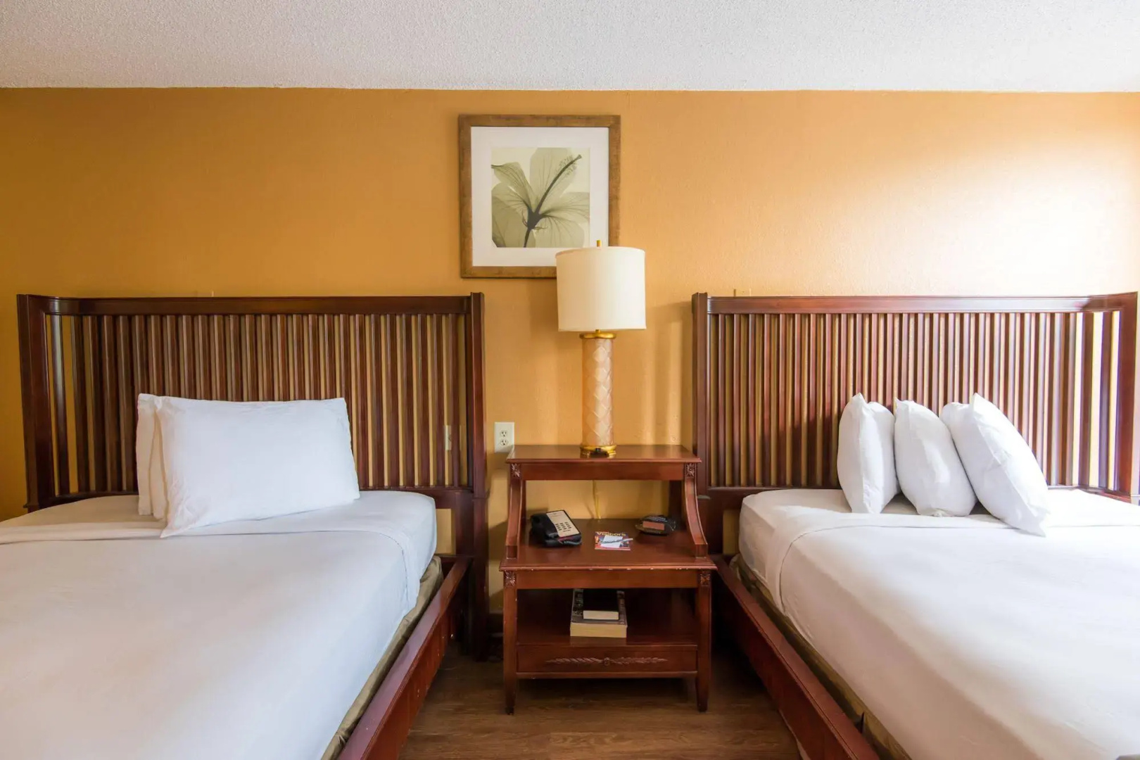 Photo - B&B HOTEL Orlando International Drive near Universal - Newly Renovated!
