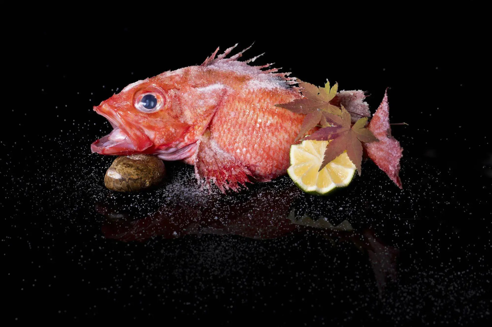 Foto - The St. Regis on the Bund, Shanghai