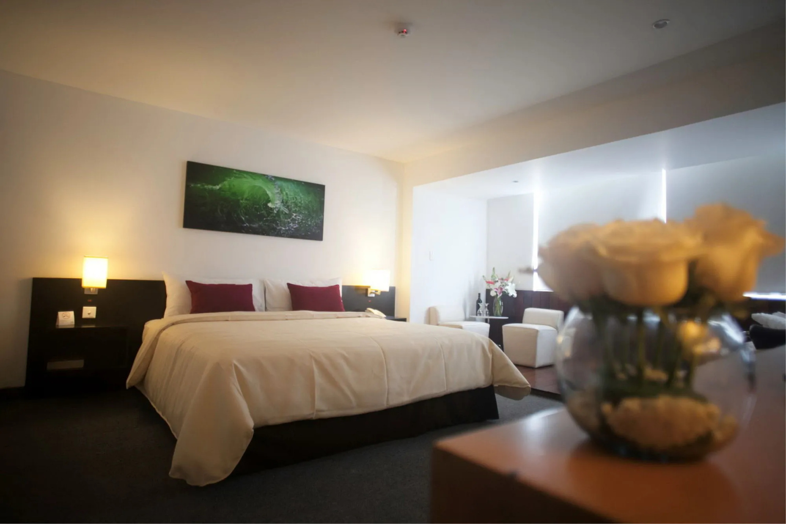 Foto - Palmetto Hotel Business San Borja