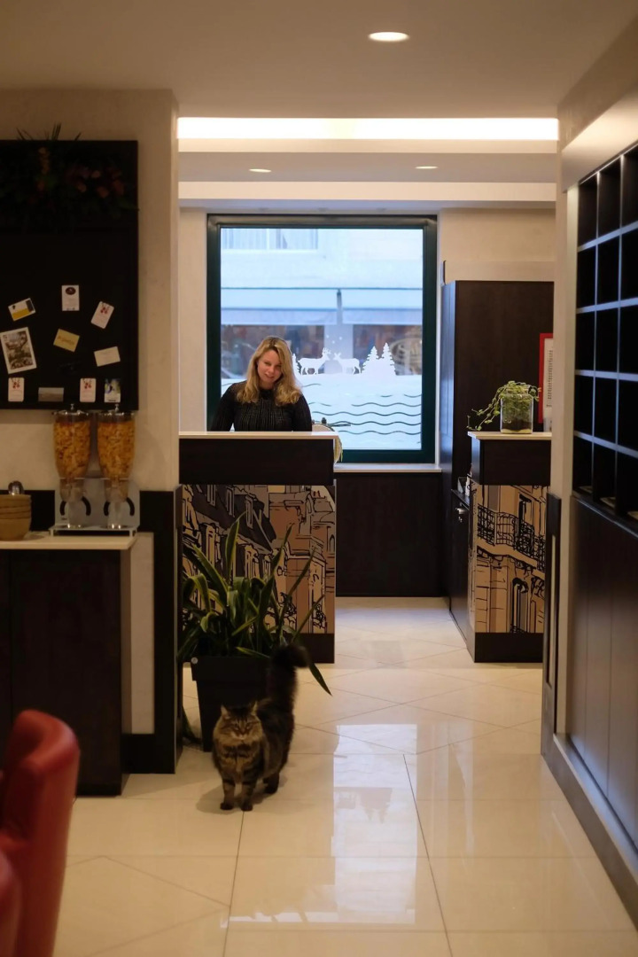 Foto - Amiral-Fondary