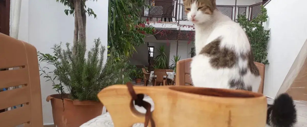 Photo - Altun Pansiyon