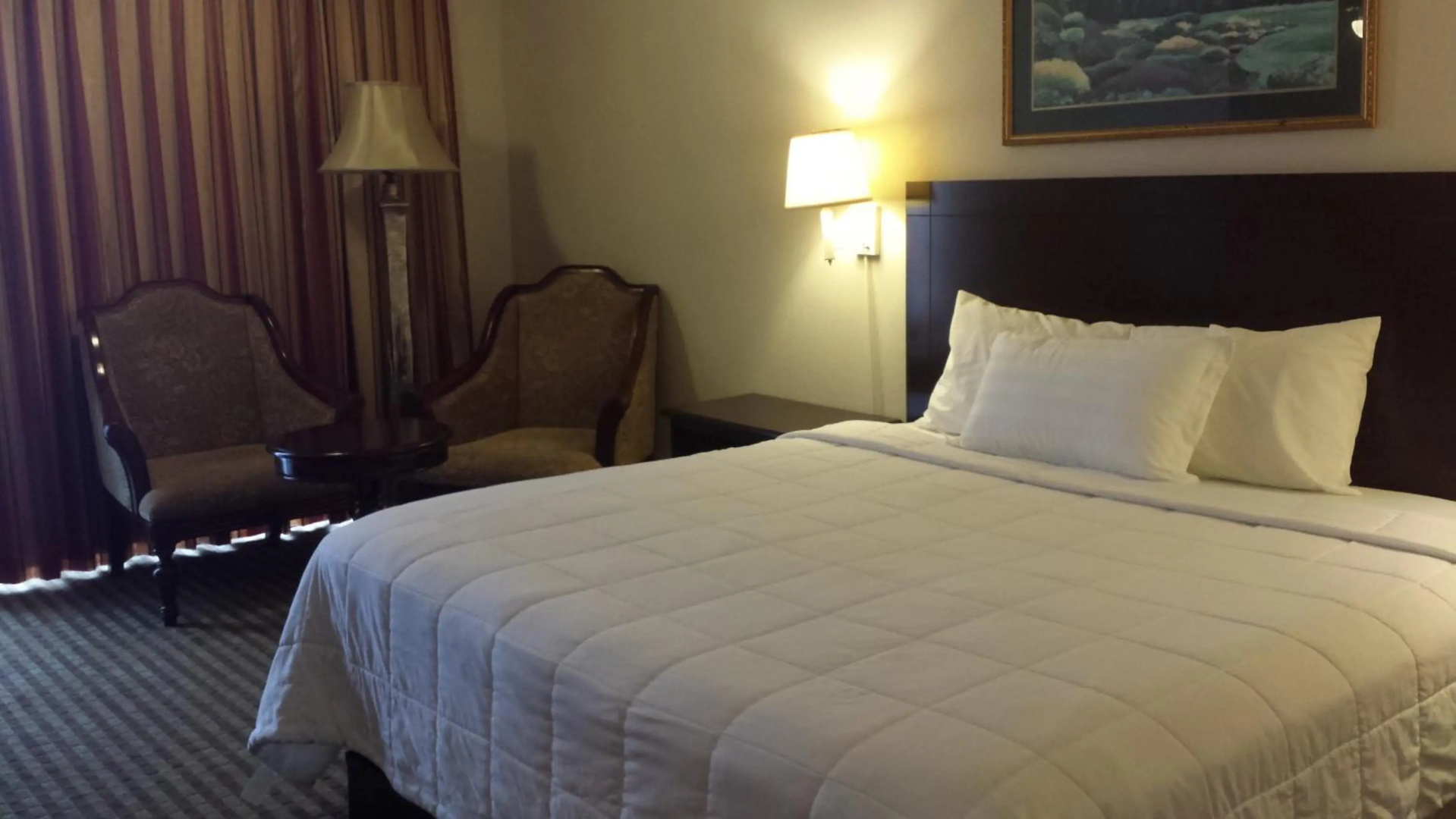 Photo - Romana Hotel