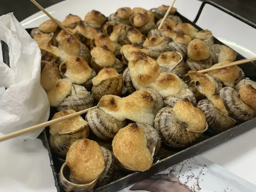 Photo - Hostal Tarrés