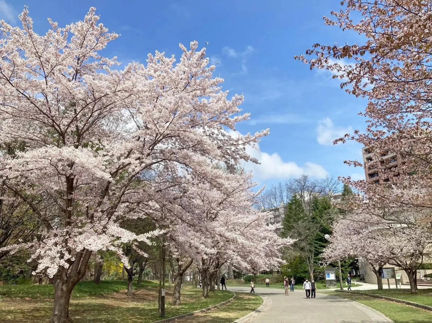 Foto - Hotel Lifort Sapporo