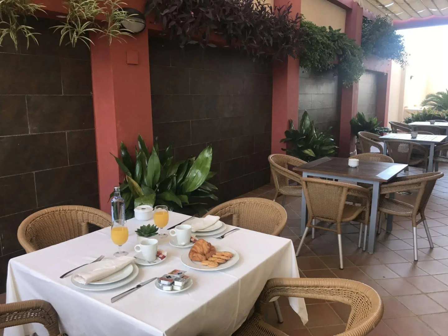 Photo - Hotel Lince
