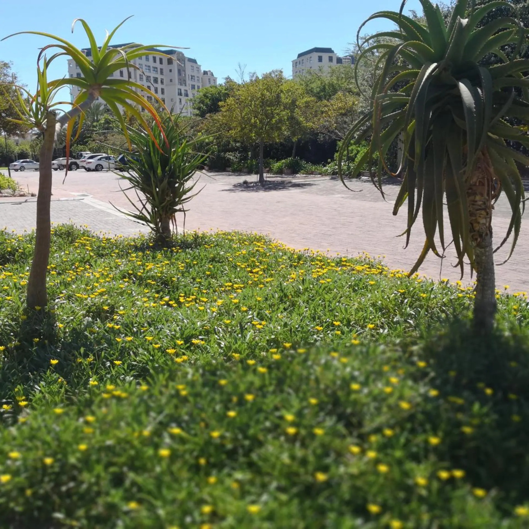 Photo - Majorca Apartments by BON Hotels