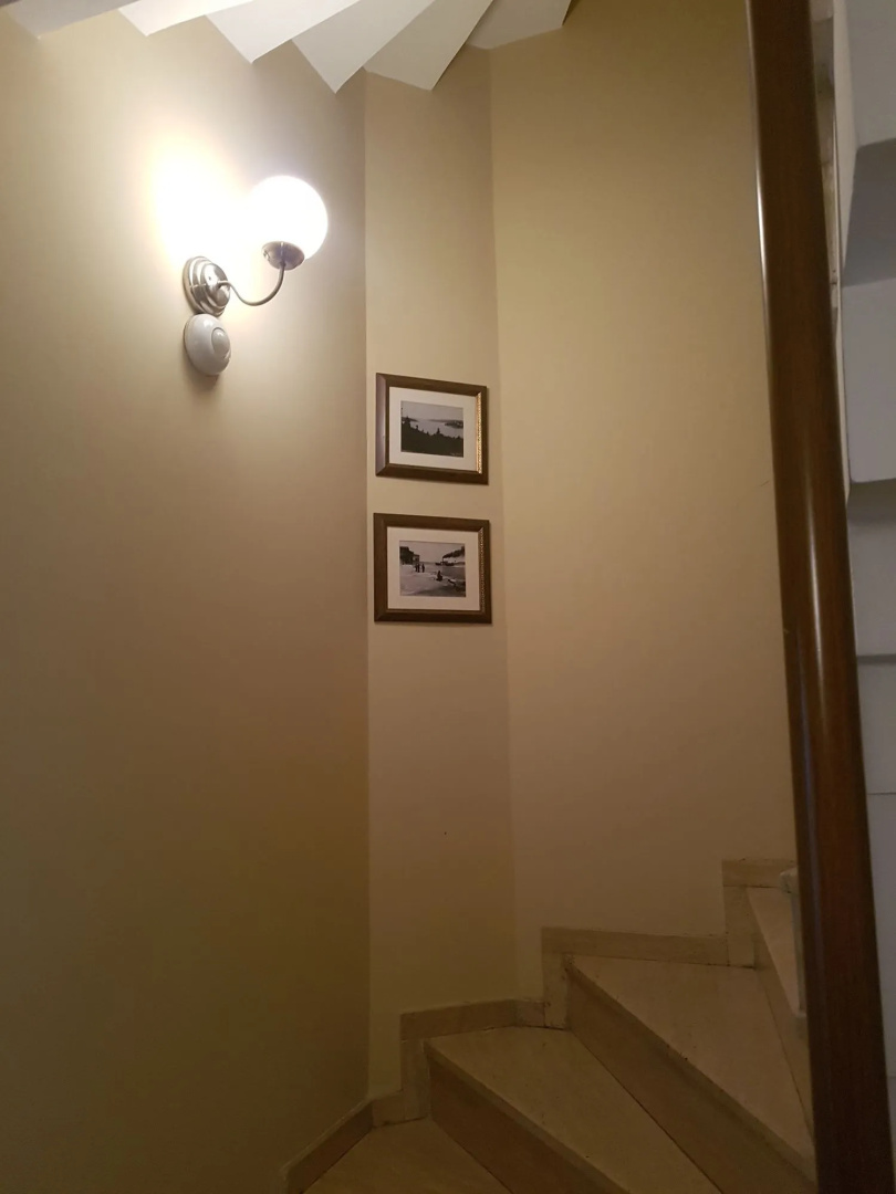 Foto - Bucoleon by Cheers