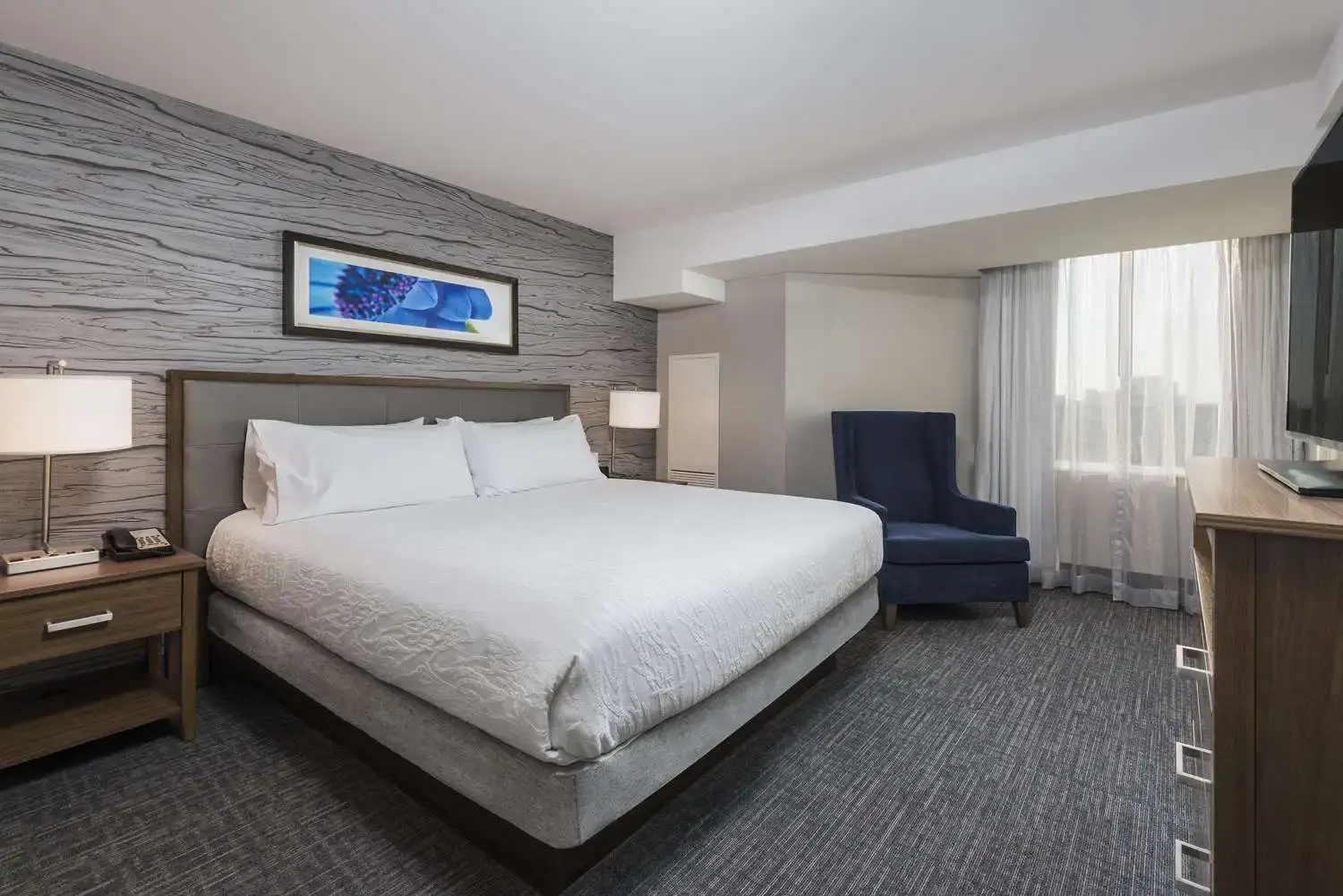 Foto - Homewood Suites by Hilton Ottawa Downtown
