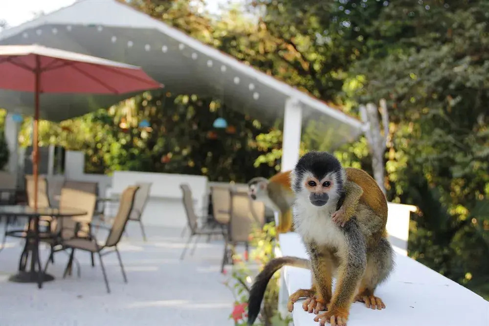 Foto - ECOTICA Boutique Hotel & Spa