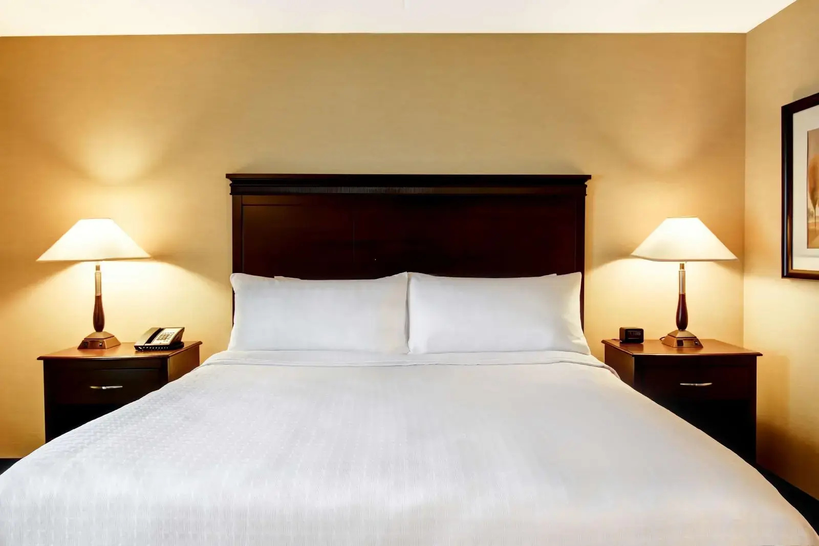 Photo - Homewood Suites by Hilton Toronto Airport Corporate Centre