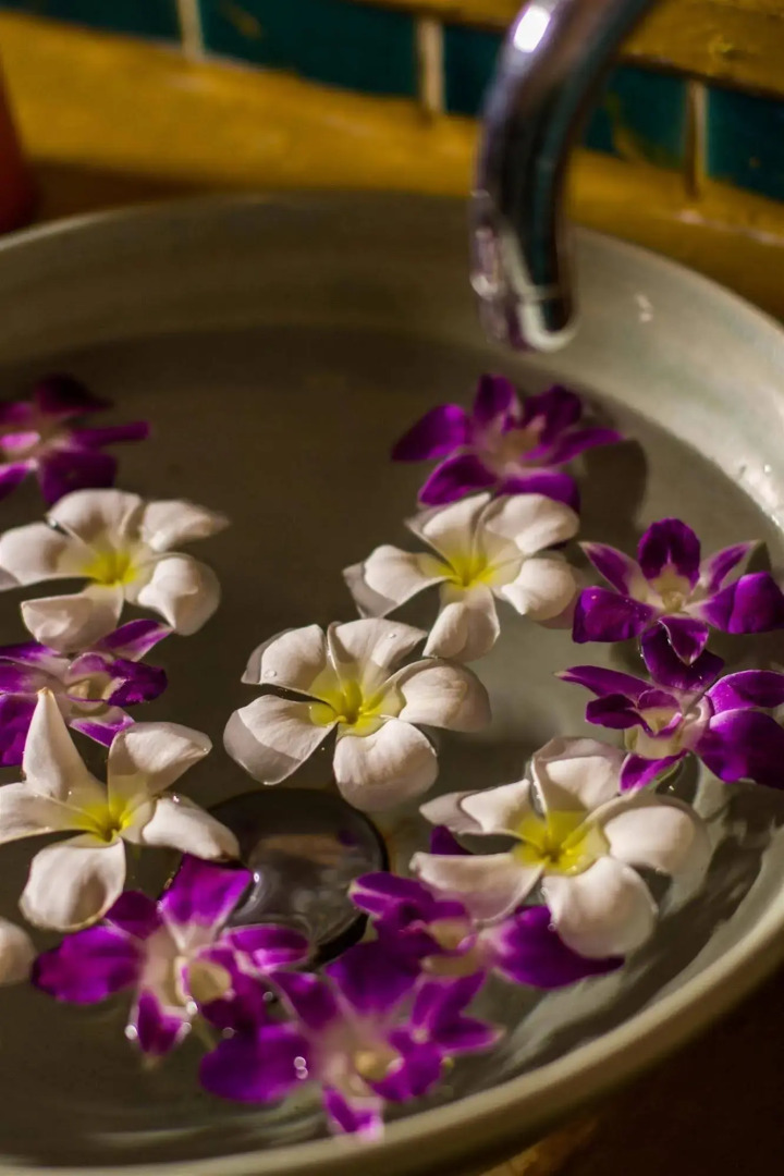 Photo - Buri Gallery House