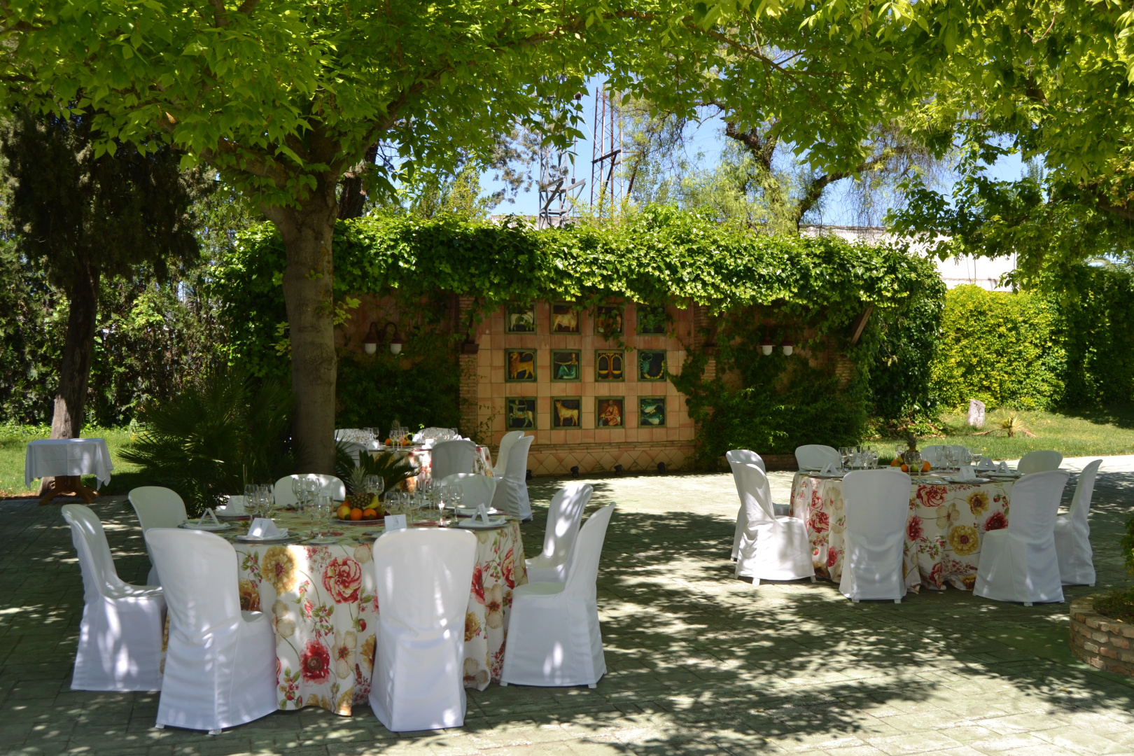 Foto - Hotel Don Gonzalo