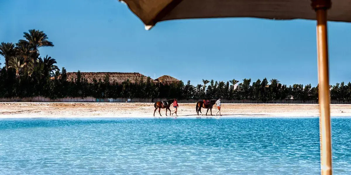 Foto - Gravity Hotel & Aqua Park Hurghada Families and Couples Only