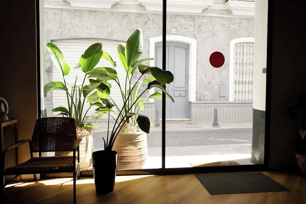 Foto - Sweet Sevilla Hostel