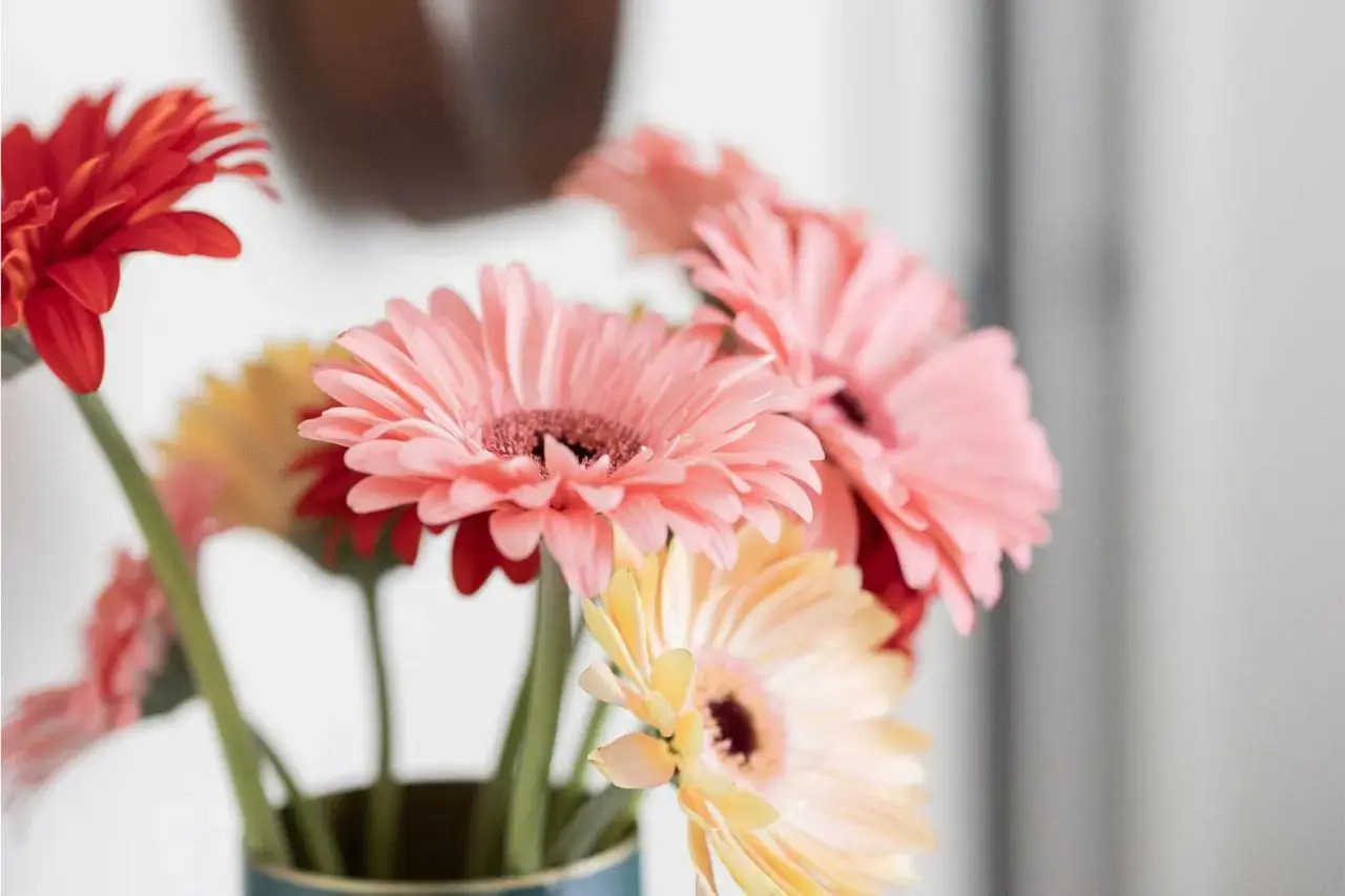 Foto - Porta Nera Private Living - adults only