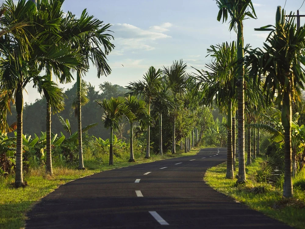 Photo - Villa Semarapura