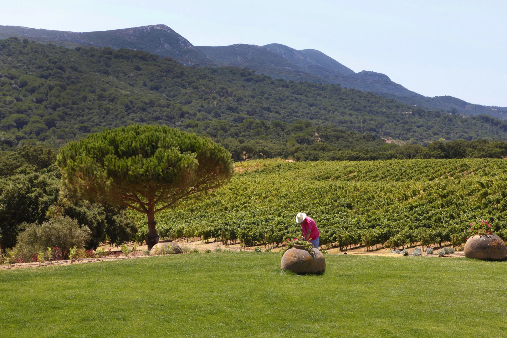 Foto - Hotel Casa Palmela - Small Luxury Hotels of The World, Hotel & Villas