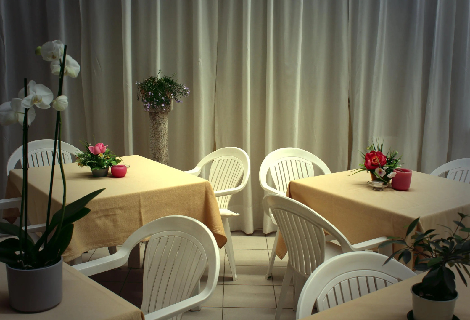 Photo - Hotel Louisiana