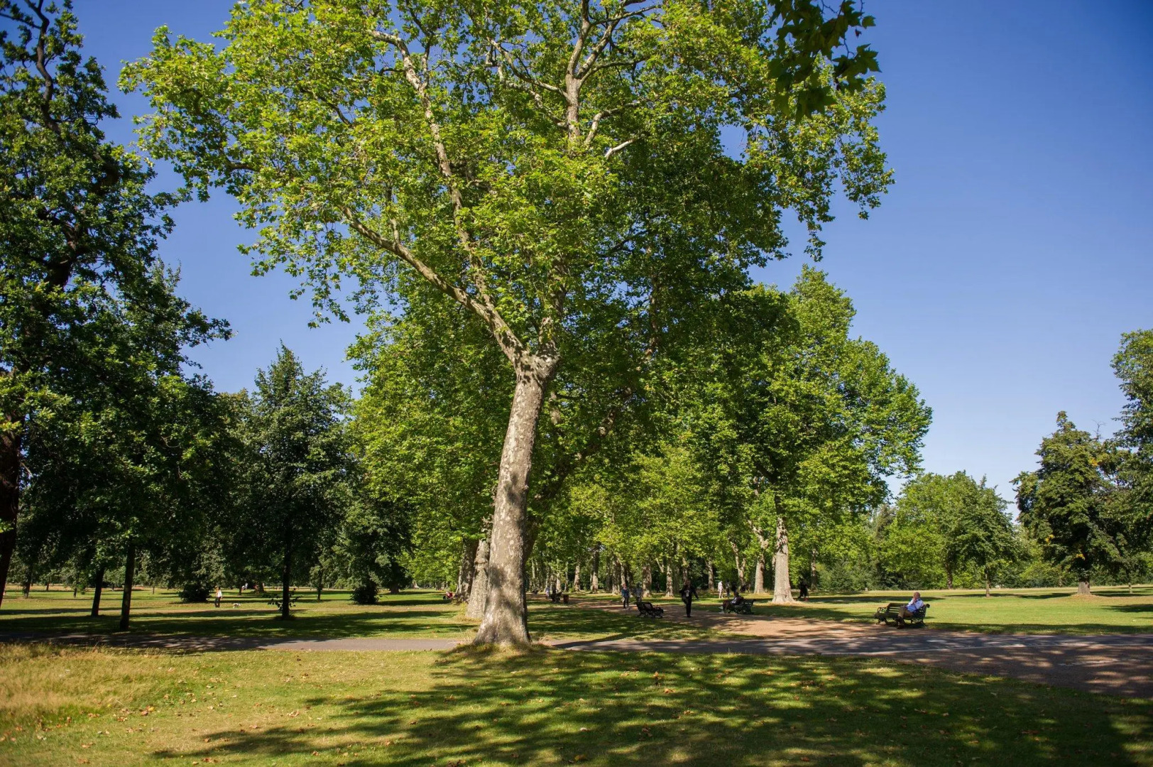 Foto - The Ampersand Hotel - Small Luxury Hotels of the World