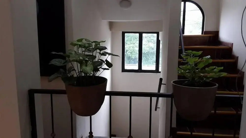 Foto - Casa Echavarria