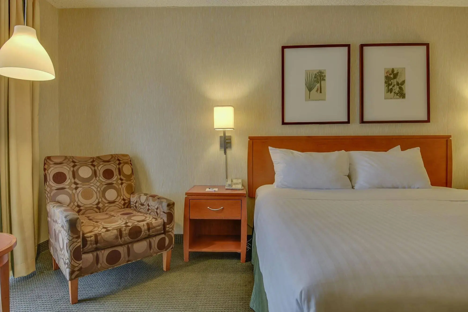 Foto - Vagabond Inn Los Angeles at USC