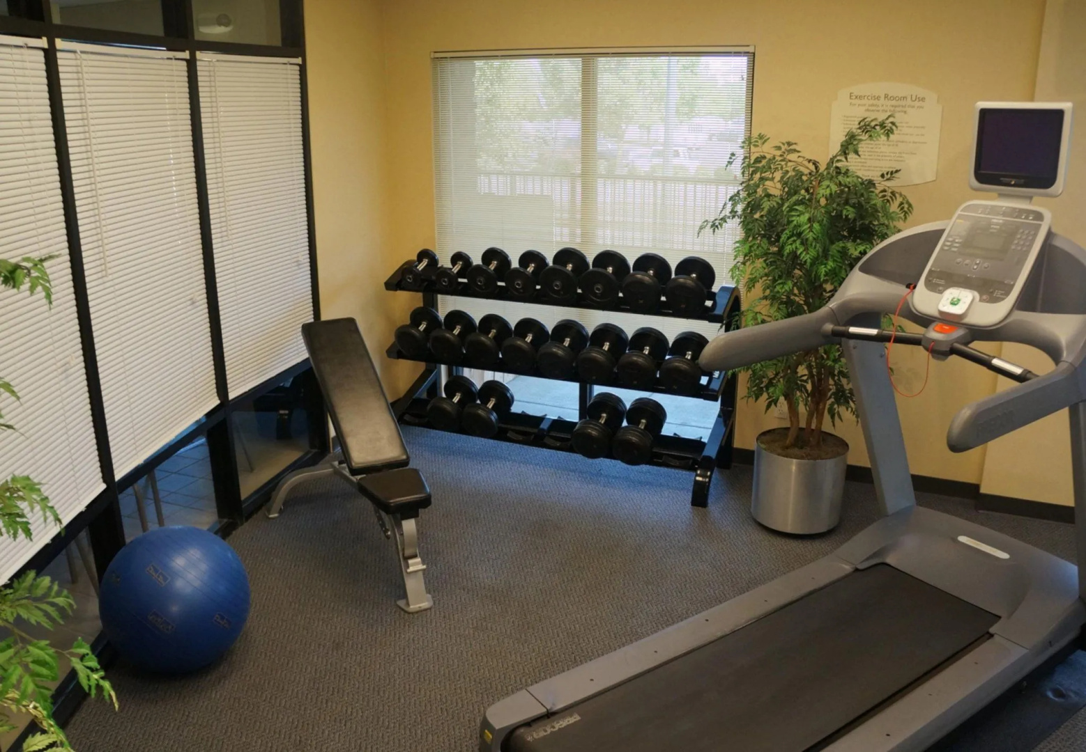 Foto - SpringHill Suites by Marriott Denver Airport