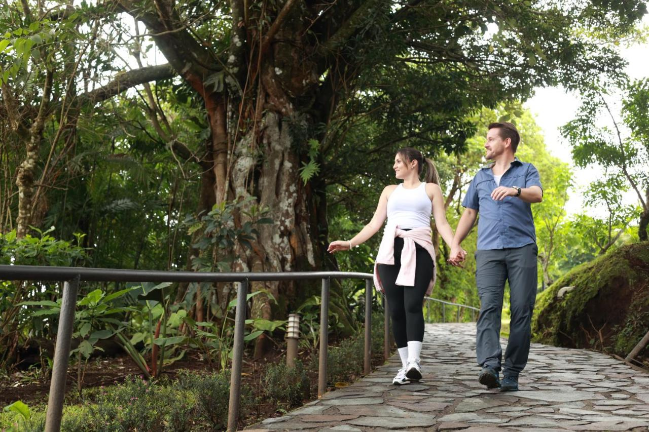 Foto - Hotel Heliconia - Monteverde