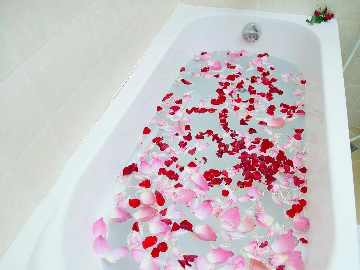 Foto - Salita Hotel Phnom Penh