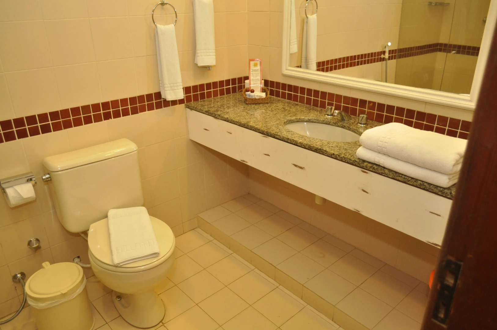 Foto - Corais e Conchas