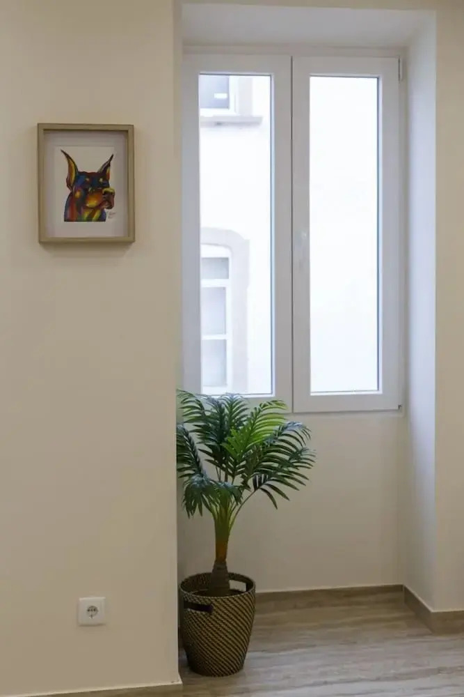 Photo - Solar Mendonca