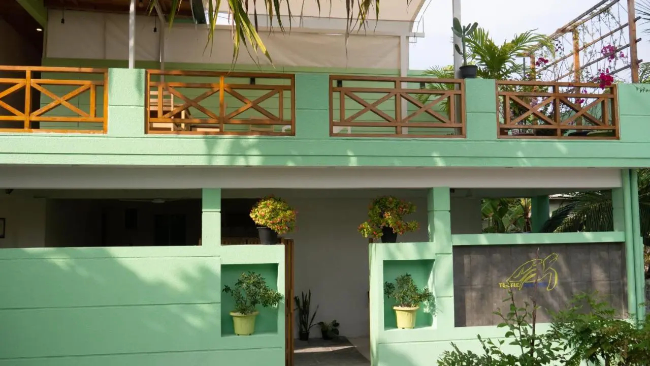 Photo - Turtle Maldives - Your Gateway to the Beach & Marine Adventures Await!