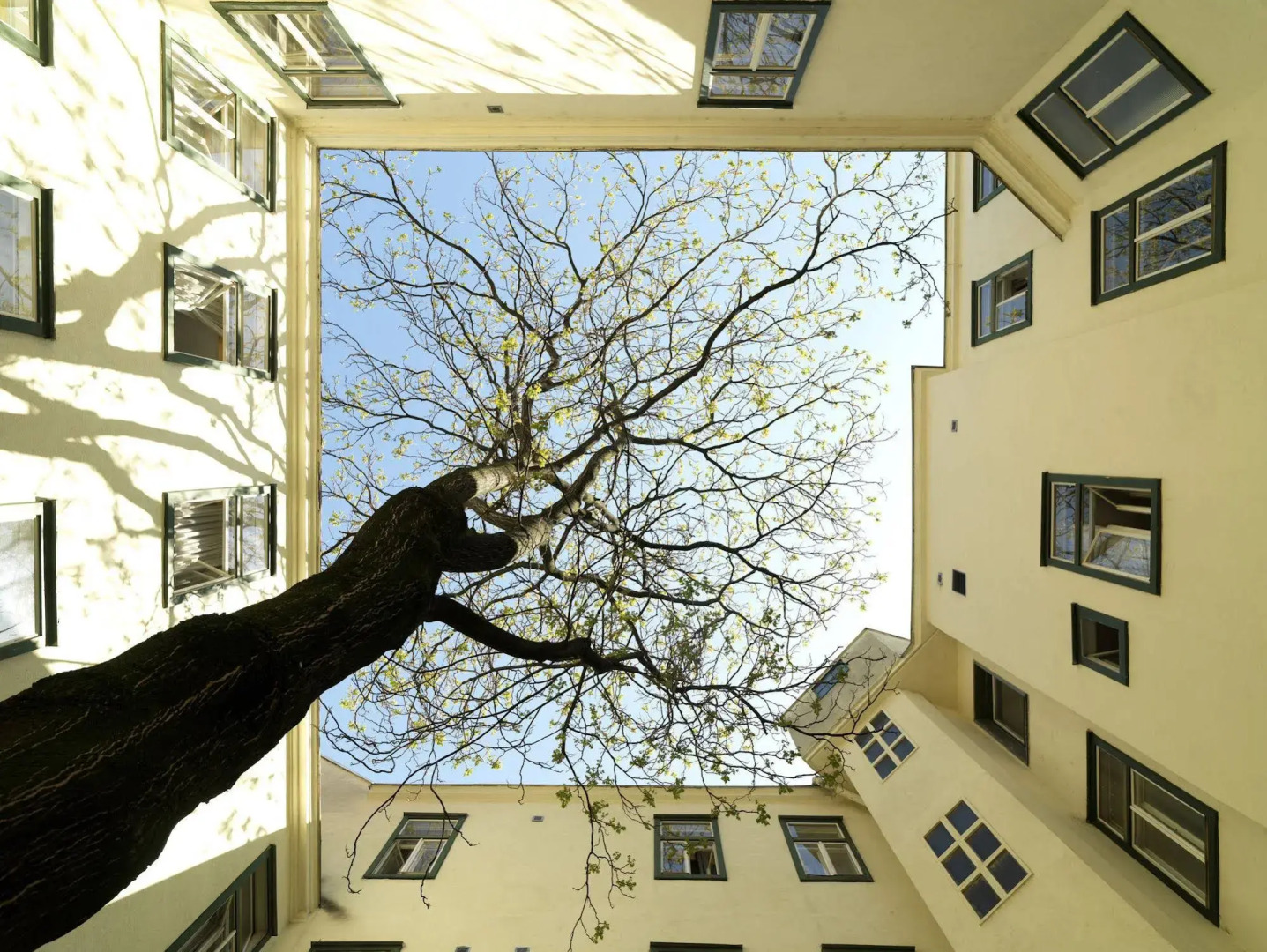 Foto - Hotel Westbahn