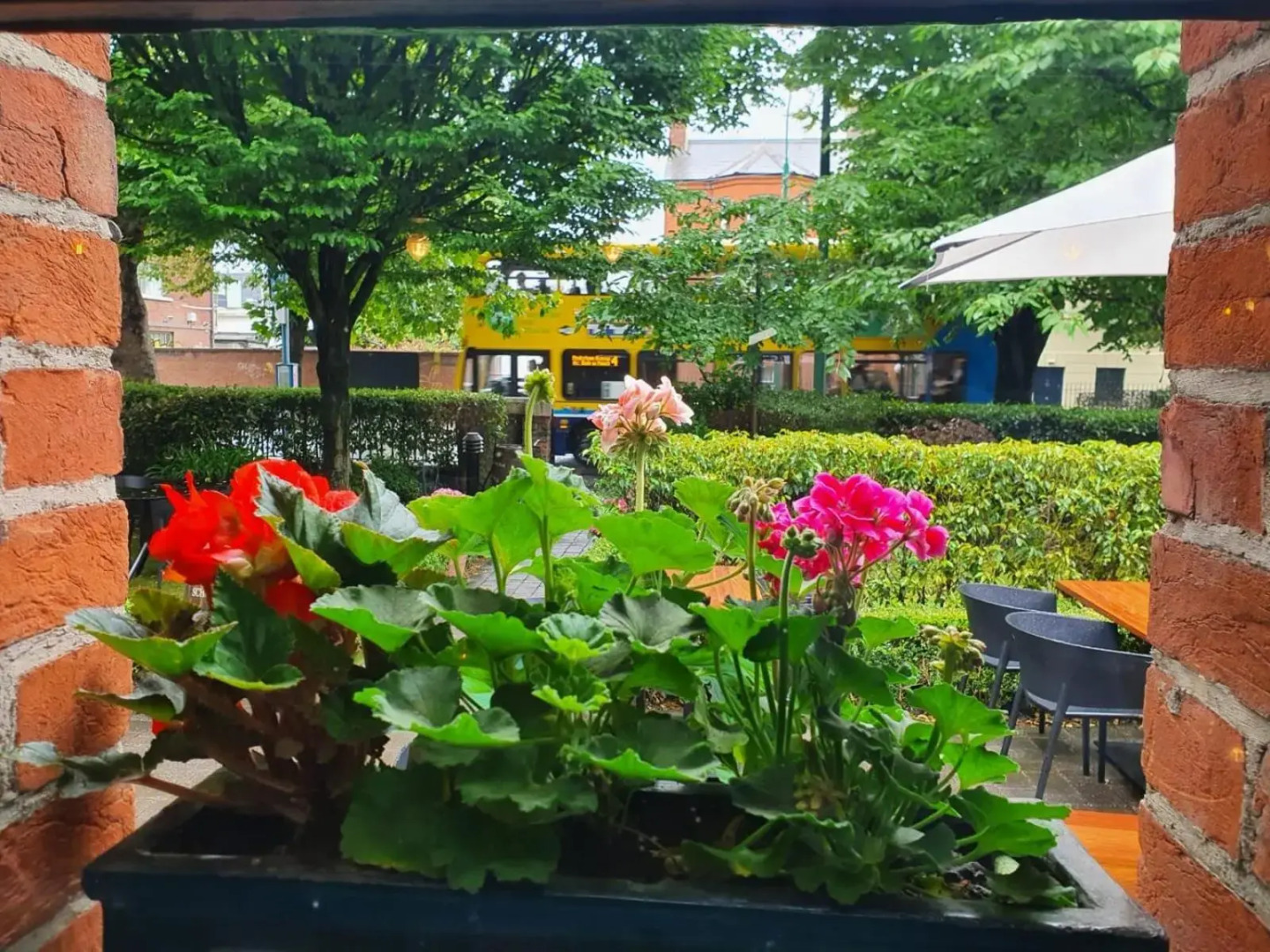 Foto - Schoolhouse Hotel