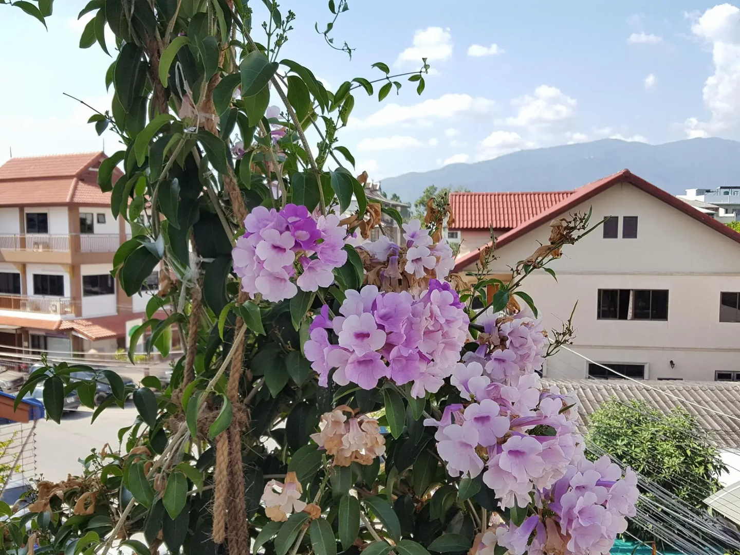 Photo - Bed and Terrace Guesthouse