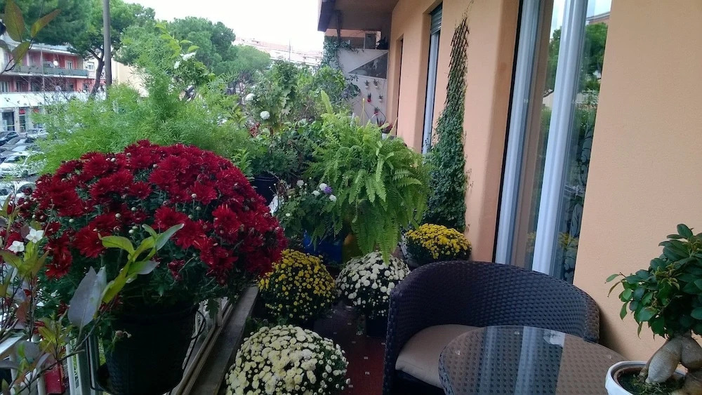 Foto - Gregorio VII Luxury Suites