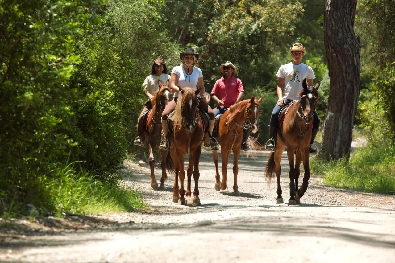 Photo - Beso Hotel Berke Ranch
