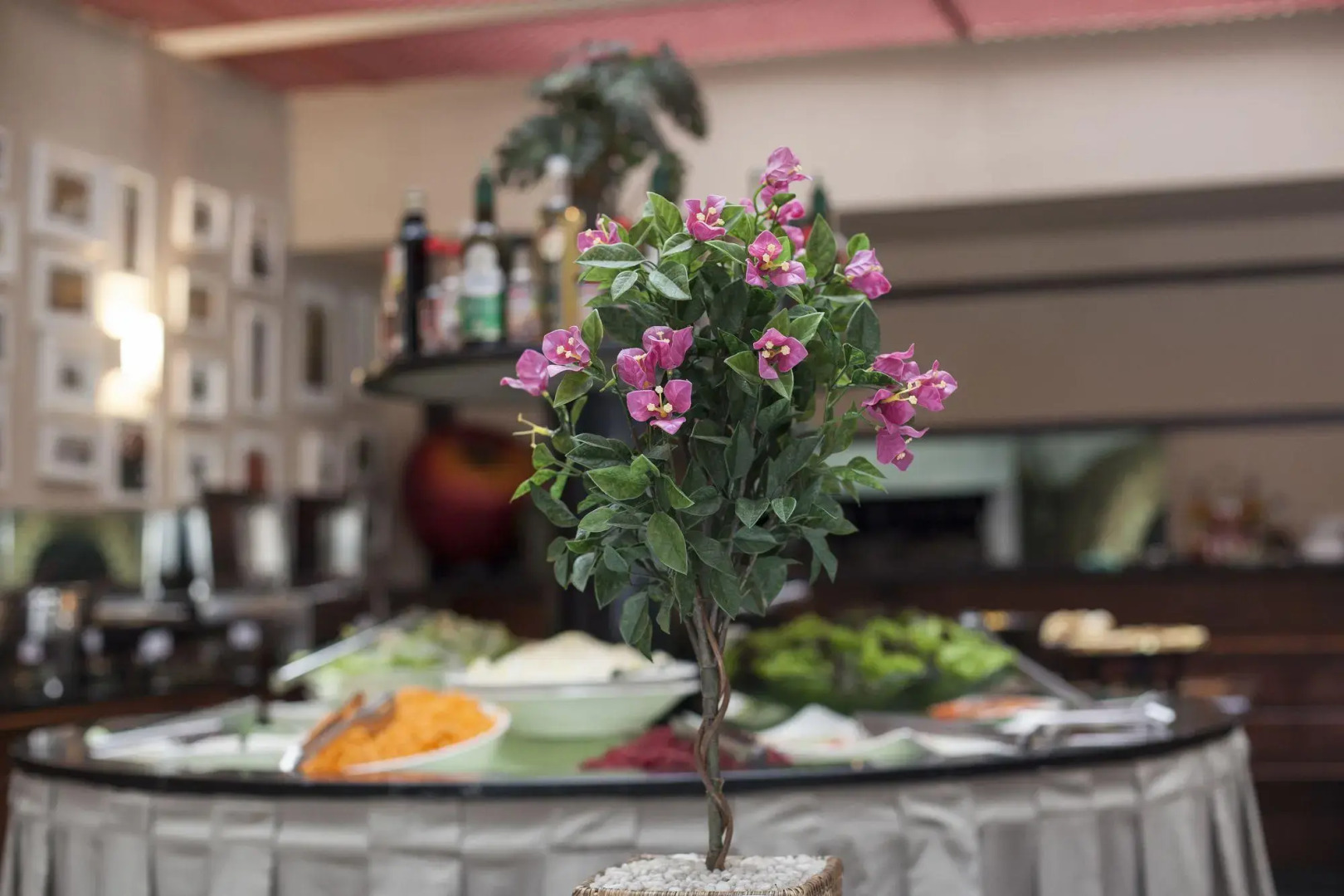 Photo - Bristol The Time Berrini