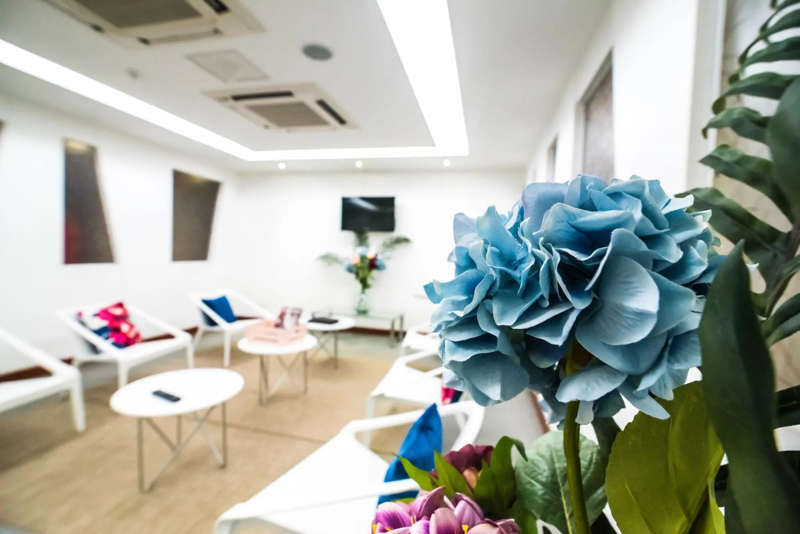 Photo - Hotel Gran Palace