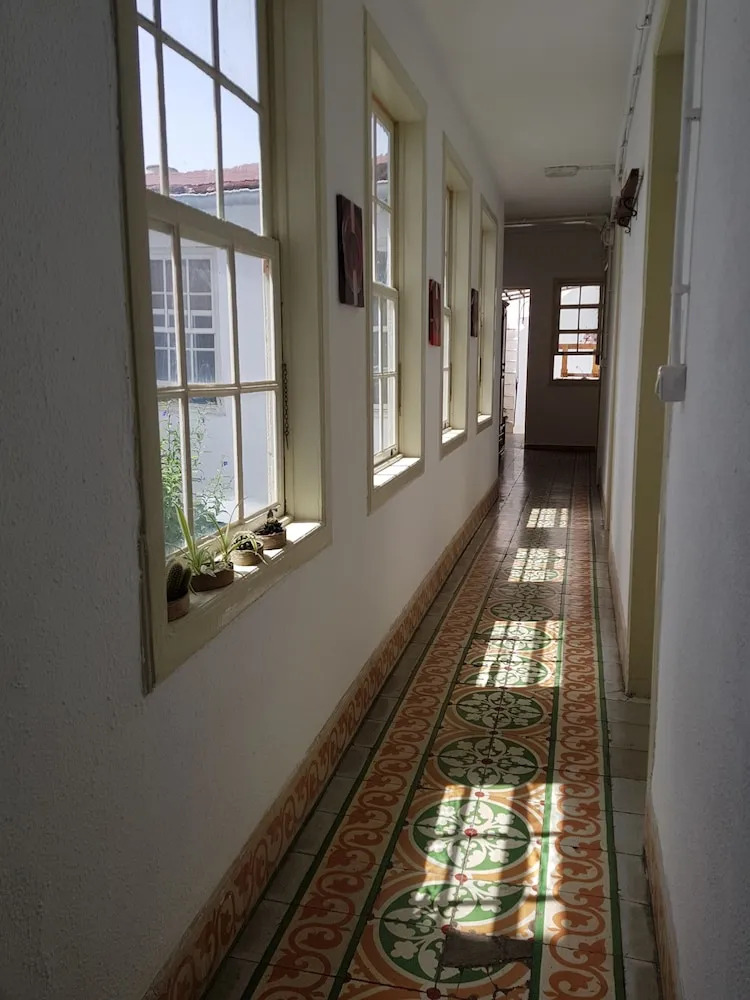 Photo - Ratones de Biblioteca