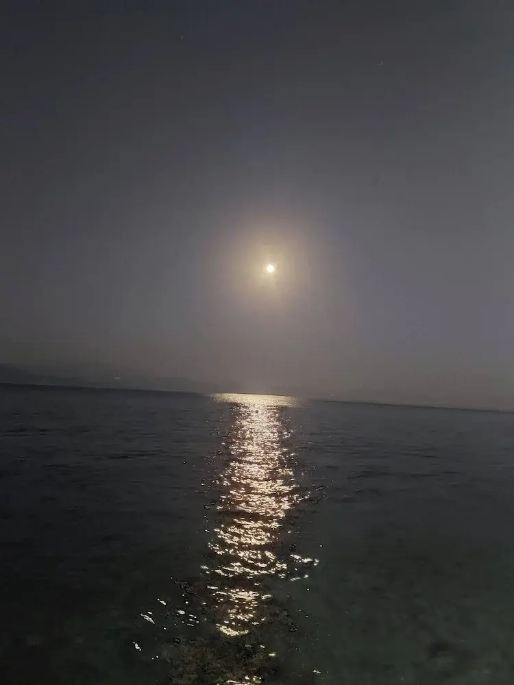 Photo - 1705 Castle House