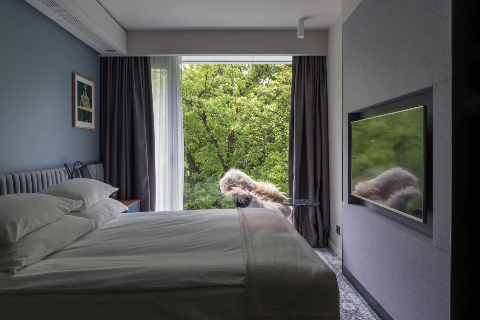 Foto - PURO Wrocław Stare Miasto