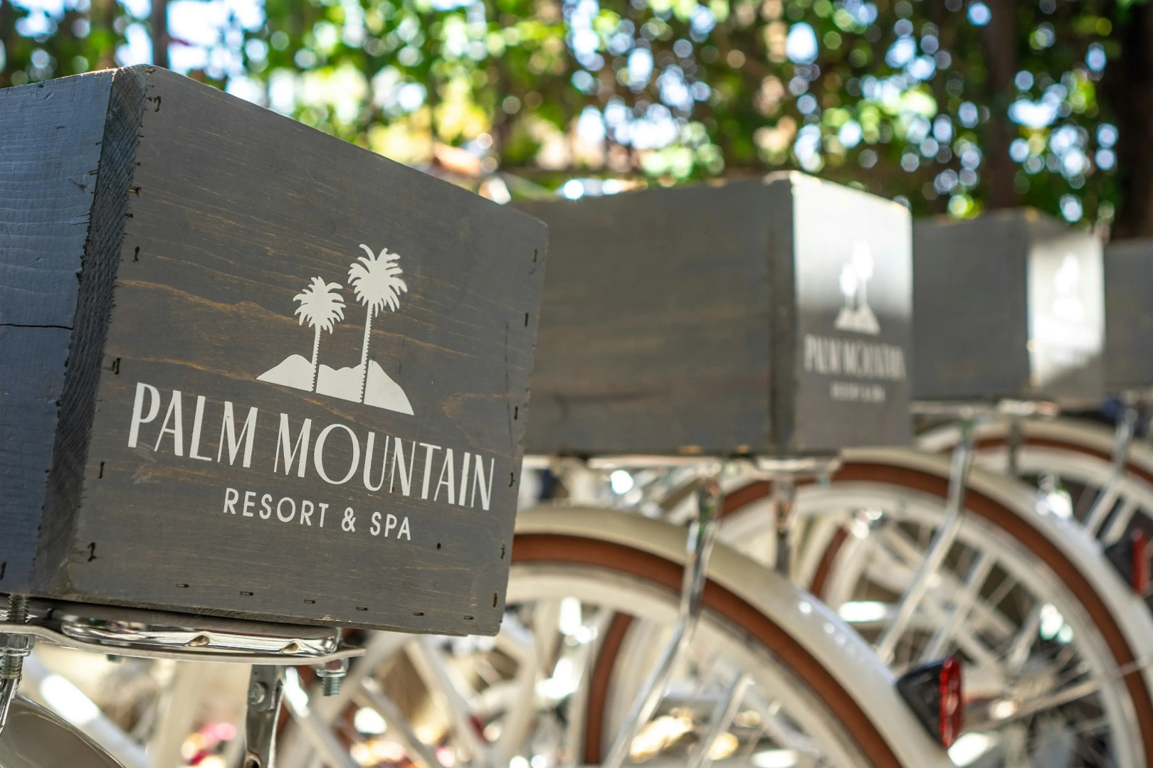 Foto - Palm Mountain Resort and Spa