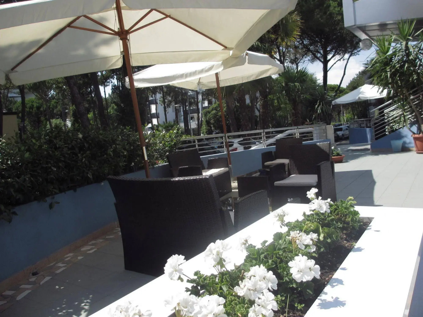 Foto - Hotel Alemagna B&B Lido del Sole Pet Friendly